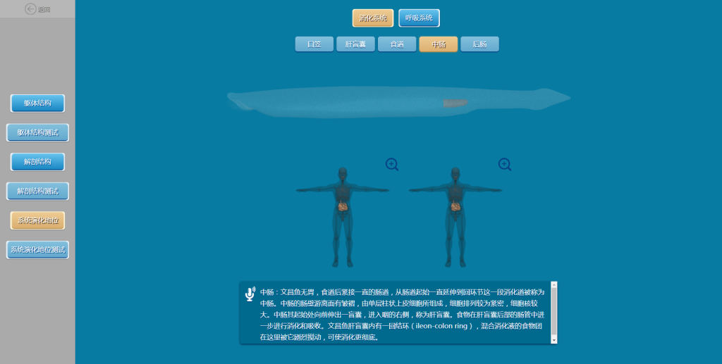 0_1571364938_sMXyH9p3Sn.png
