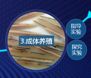 0_1571364982_3E4sB2dvDa.png