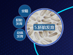 0_1571365051_KSEd0BYYV8.png